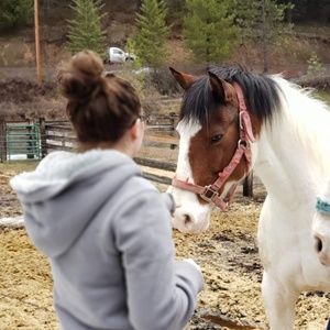 Meet your Posher, Areana